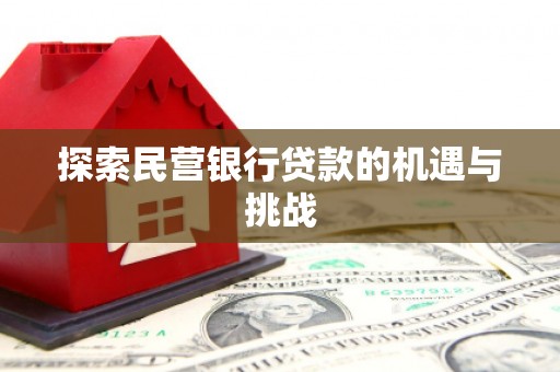 漯河探索民营银行贷款的机遇与挑战