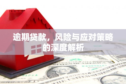 漯河逾期贷款，风险与应对策略的深度解析
