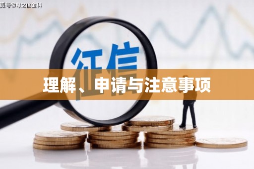 漯河理解、申请与注意事项