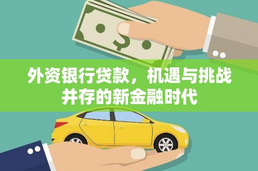 漯河外资银行贷款，机遇与挑战并存的新金融时代