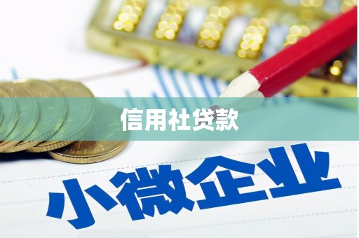 漯河信用社贷款