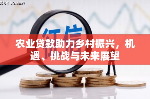 漯河农业贷款助力乡村振兴，机遇、挑战与未来展望