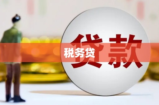 漯河税务贷