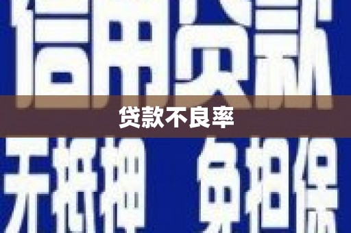 漯河贷款不良率