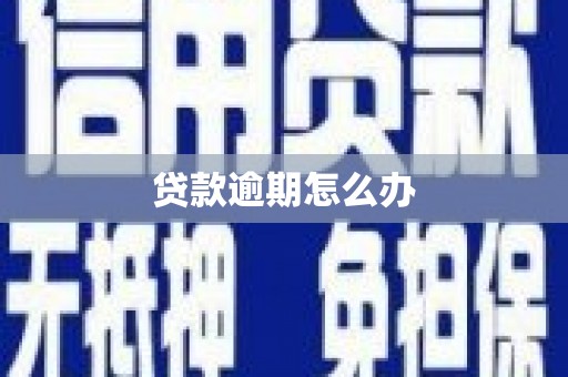 漯河贷款逾期怎么办
