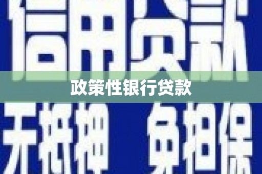 漯河政策性银行贷款