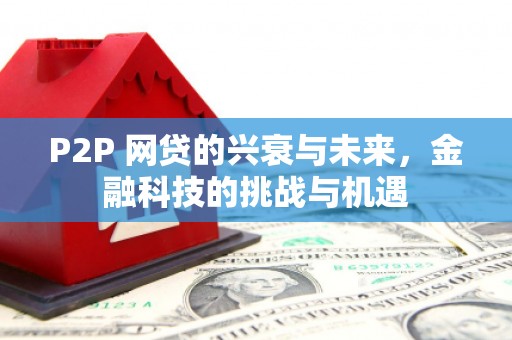 漯河P2P 网贷的兴衰与未来，金融科技的挑战与机遇