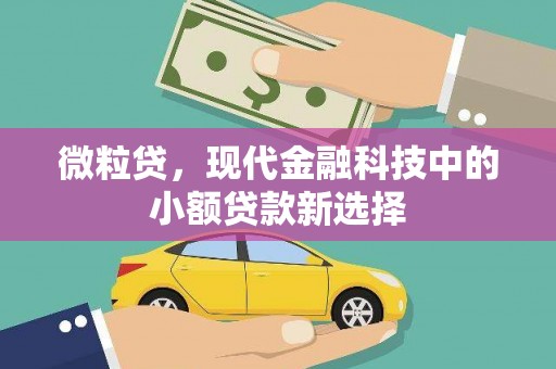 漯河微粒贷，现代金融科技中的小额贷款新选择