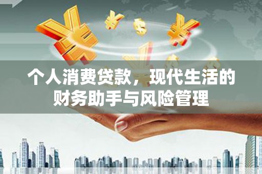 漯河个人消费贷款，现代生活的财务助手与风险管理
