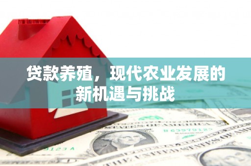 漯河贷款养殖，现代农业发展的新机遇与挑战