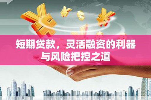 漯河短期贷款，灵活融资的利器与风险把控之道