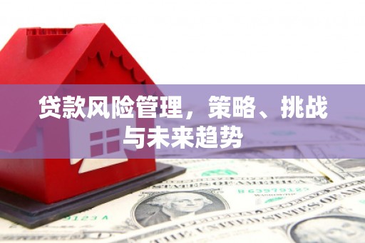 漯河贷款风险管理，策略、挑战与未来趋势
