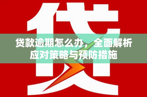 漯河贷款逾期怎么办，全面解析应对策略与预防措施