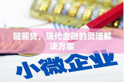 漯河随薪贷，现代金融的灵活解决方案