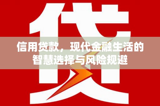 漯河信用贷款，现代金融生活的智慧选择与风险规避