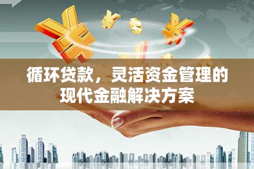 漯河循环贷款，灵活资金管理的现代金融解决方案