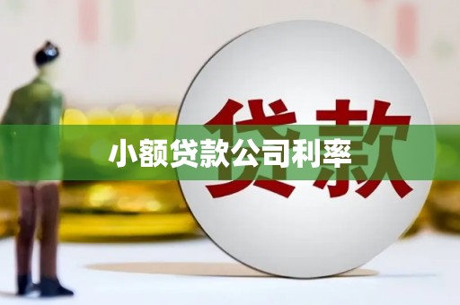 漯河小额贷款公司利率