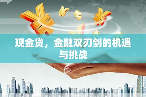 漯河现金贷，金融双刃剑的机遇与挑战