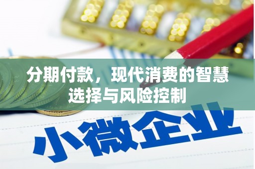 漯河分期付款，现代消费的智慧选择与风险控制