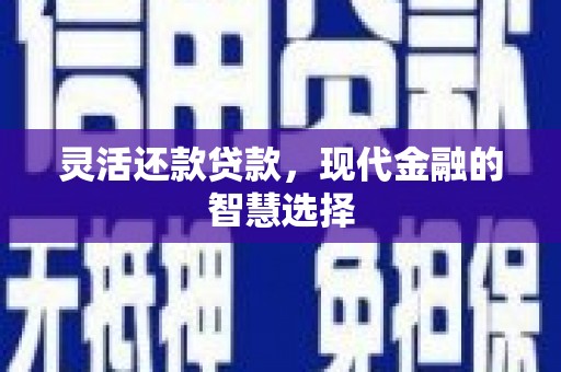 漯河灵活还款贷款，现代金融的智慧选择