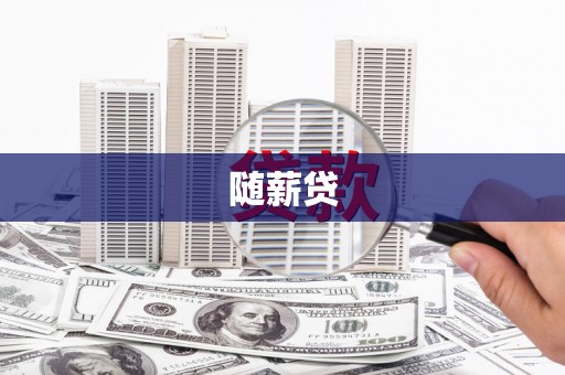 漯河随薪贷