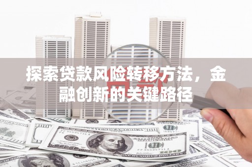 漯河探索贷款风险转移方法，金融创新的关键路径