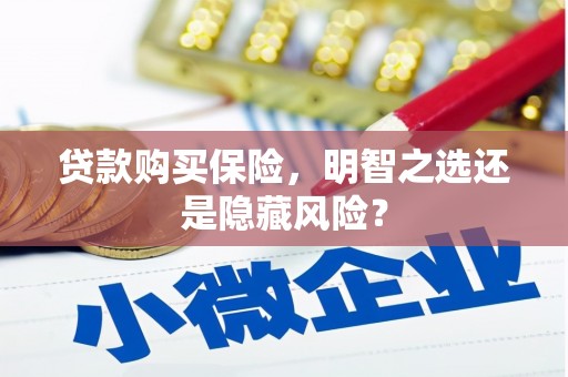 漯河贷款购买保险，明智之选还是隐藏风险？