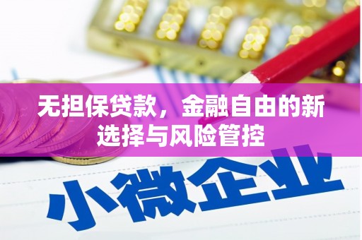 漯河无担保贷款，金融自由的新选择与风险管控