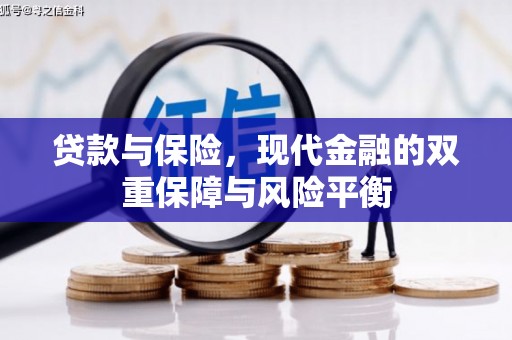 漯河贷款与保险，现代金融的双重保障与风险平衡