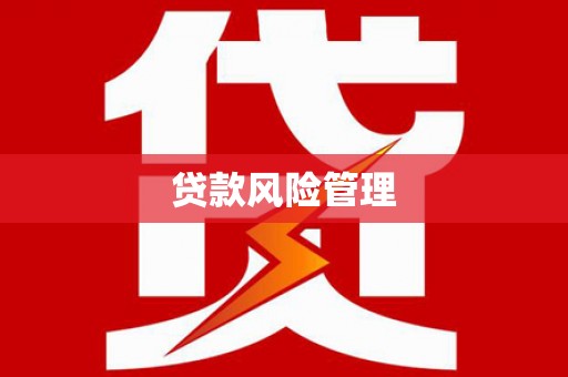 漯河贷款风险管理