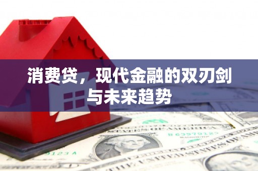 漯河消费贷，现代金融的双刃剑与未来趋势