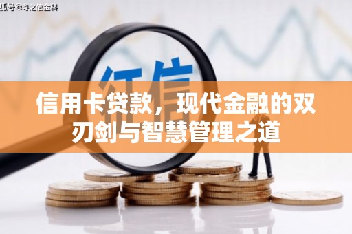 漯河信用卡贷款，现代金融的双刃剑与智慧管理之道