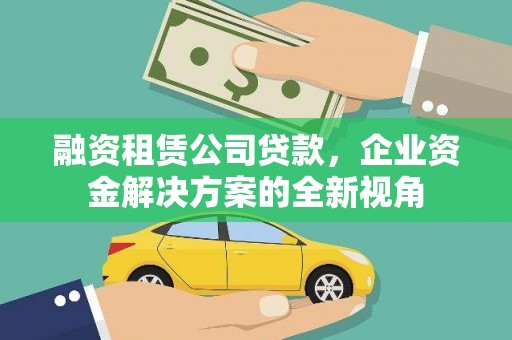 漯河融资租赁公司贷款，企业资金解决方案的全新视角