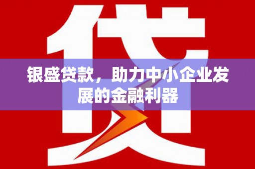漯河银盛贷款，助力中小企业发展的金融利器