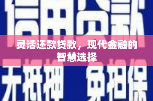 漯河灵活还款贷款，现代金融的智慧选择