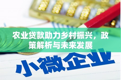 漯河农业贷款助力乡村振兴，政策解析与未来发展