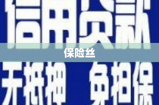 漯河保险丝