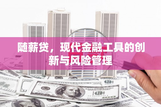 漯河随薪贷，现代金融工具的创新与风险管理