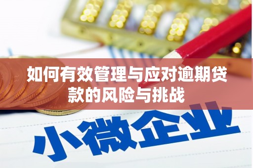 漯河如何有效管理与应对逾期贷款的风险与挑战