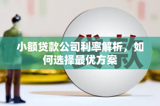 漯河小额贷款公司利率解析，如何选择最优方案