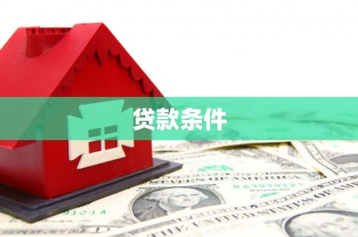 漯河贷款条件