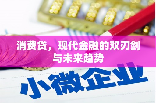 漯河消费贷，现代金融的双刃剑与未来趋势