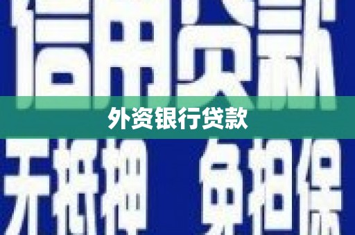 漯河外资银行贷款