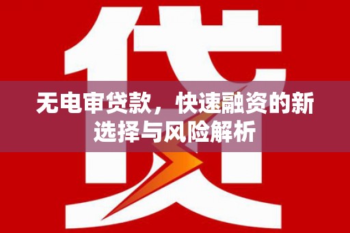 漯河无电审贷款，快速融资的新选择与风险解析
