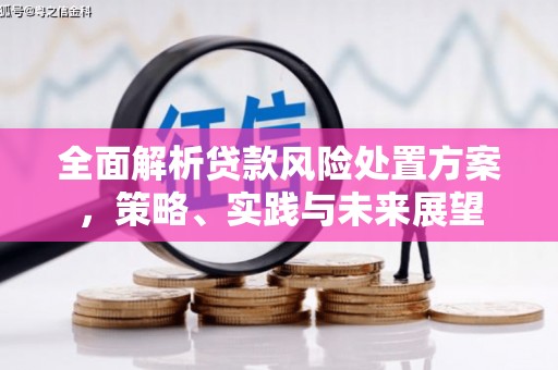 漯河全面解析贷款风险处置方案，策略、实践与未来展望