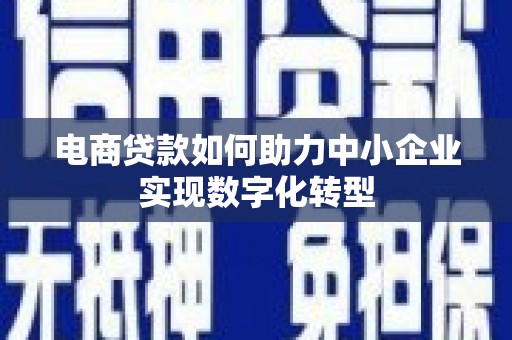漯河电商贷款如何助力中小企业实现数字化转型