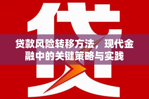 漯河贷款风险转移方法，现代金融中的关键策略与实践