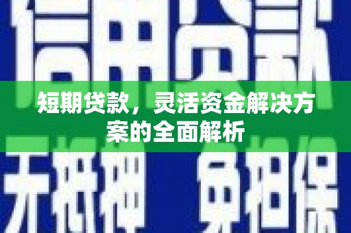 漯河短期贷款，灵活资金解决方案的全面解析