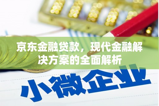 漯河京东金融贷款，现代金融解决方案的全面解析