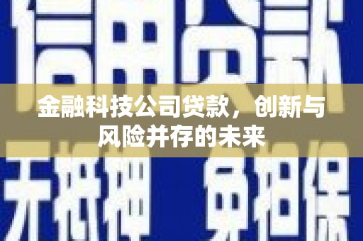 漯河金融科技公司贷款，创新与风险并存的未来